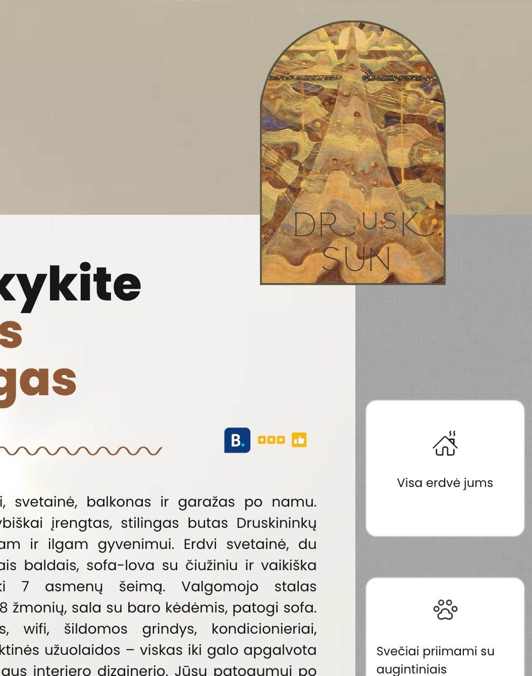 Drusk Sun svetainės vaizdas